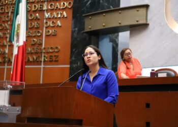 PROPONE DIPUTADA CITLALI CALIXTO ARMONIZACIÓN LEGAL PARA LA SIMPLIFICACIÓN ORGÁNICA EN GUERRERO