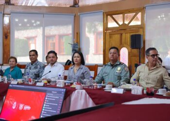 Por la paz y la seguridad en Guerrero trabajamos sin descanso: Evelyn Salgado