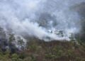 Deforestación y quemas agrícolas agravan escasez de agua en la sierra de Coahuayutla