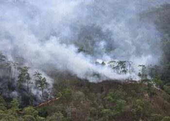 Deforestación y quemas agrícolas agravan escasez de agua en la sierra de Coahuayutla
