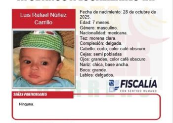 Activan Alerta Amber en Guerrero por desaparición de bebé de 7 meses en Tecpan de Galeana
