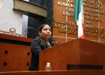 DIPUTADA PIDE INTENSIFICAR ACCIONES CONTRA EL GUSANO BARRENADOR EN COSTA CHICA Y MONTAÑA
