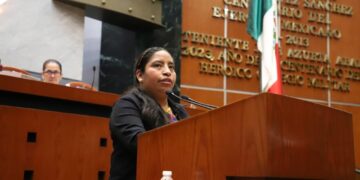 DIPUTADA PIDE INTENSIFICAR ACCIONES CONTRA EL GUSANO BARRENADOR EN COSTA CHICA Y MONTAÑA