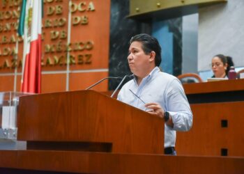 ANALIZAN REFORMAS PARA GARANTIZAR VIVIENDA ACCESIBLE Y PROTECCIÓN DEL ARBOLADO URBANO EN GUERRERO