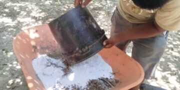 SAGADEGRO capacita a productores de limón de Acapulco sobre control de plagas