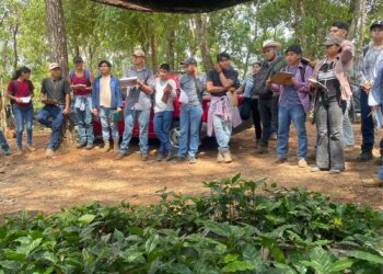 Sagadegro capacita a jóvenes en el establecimiento y manejo de cafetales