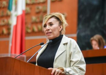PROPONE DIPUTADA INICIATIVAS PARA SANCIONAR A QUIEN CONTAMINE CUERPOS DE AGUA Y PARA ERRADICAR LA VIOLENCIA OBSTÉTRICA EN ZONAS INDÍGENAS