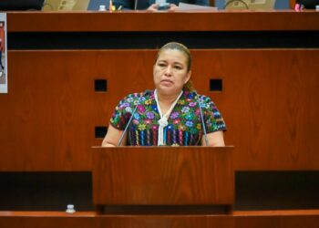 IMPULSA DIPUTADA INICIATIVA PARA PROTEGER LA IDENTIDAD CULTURAL Y COMUNITARIA DE LAS JUVENTUDES