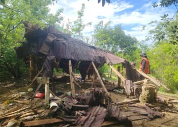Marina y autoridades ambientales desmantelan campamento clandestino en área protegida de Zihuatanejo