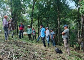 Apoya Sagadegro a cafeticultores de Tecpan de Galeana