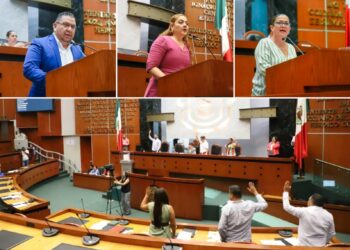 Llaman desde el Congreso a reforzar formaciónen materia de protección civil desde la infancia
