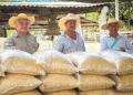 SAGADEGRO y Federación entregan maíz grano y semilla mejorada en Olinalá 