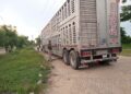 Sagadegro mantiene vigilancia sanitaria para proteger la sanidad pecuaria en Guerrero