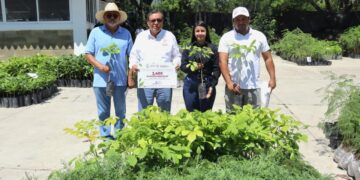 La SEMAREN entrega más de 44 mil plantas para reforestación en esta temporada de lluvias