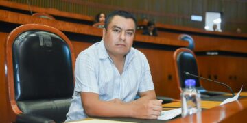 Plantean reformas para garantizar reposición de zonas verdes afectadas por construcción de obras