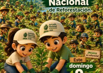 Convoca Claudia Sheinbaum Pardo a la Jornada Nacional de Reforestación 2026