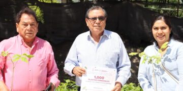 La SEMAREN supera las 120 mil plantas entregadas para fortalecer la reforestación en Guerrero