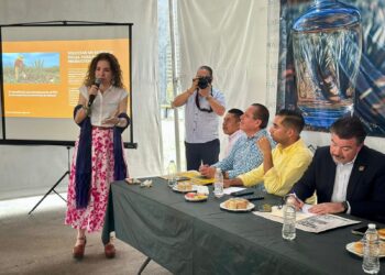 Reconocen en foro, impulso de Beatriz Mojica a familias mezcaleras de Guerrero–Gestionó en 2021 como diputada local recursos para certificación e infraestructura