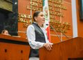 Llama el Congreso a municipios a garantizar el bienestar de los animales