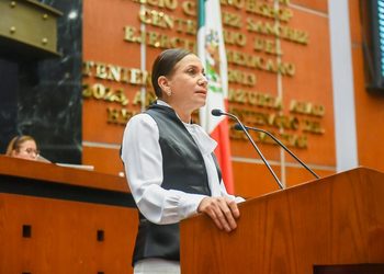 Llama el Congreso a municipios a garantizar el bienestar de los animales