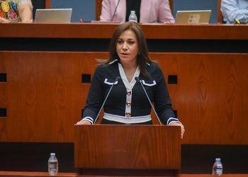 Multas por daños ambientales se destinen a trabajos de restauración, propone diputada en una nueva Ley