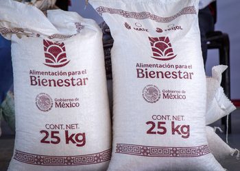 Continúan acciones de Justicia Alimentaria para fortalecer el bienestar de las familias de Chilapa