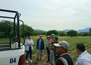 Atiende SEMAREN reportes de fauna silvestre y promueve acciones de prevención en Tlapehuala
