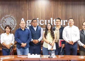Guerrero y Federación suman esfuerzos para fortalecer la producción de maíz y frijol