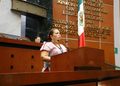Proponen reforma para garantizar la inclusión y protección de las personas con discapacidad