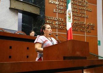Proponen reforma para garantizar la inclusión y protección de las personas con discapacidad