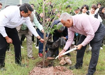 La SEG impulsa la educación ambiental con el programa “Regresa a clases con un árbol” 