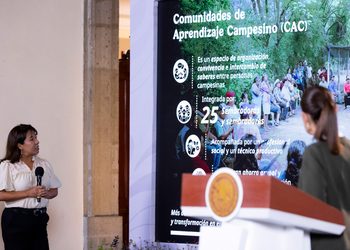 SEMBRANDO VIDA BRINDA BIENESTAR, RESTAURACIÓN ECOLÓGICA Y CONSERVACIÓN: PRESIDENTA CLAUDIA SHEINBAUM; LA META ES BENEFICIAR A 450 MIL SEMBRADORES Y PLANTAR MIL 500 MILLONES DE ÁRBOLES Y PLANTAS