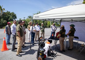 En Guerrero refuerza la vigilancia zoosanitaria para proteger la ganadería