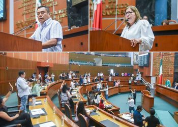 Piden diputados informe pormenorizado sobre la atención a la salud mental